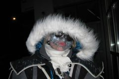 1493725824_Fasnacht-Dienstag-2010_045