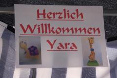 1360840351_th_th_IMG_3002