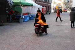 1360841000_th_th_IMG_3421