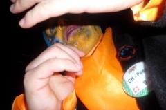 1393186818_th_SAM_7668