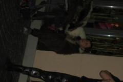 1455815124_th_th_th_IMG_0992
