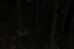 1475424783_th_th_th_th_IMG_3071