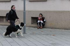 1488191180_k-IMG_9170