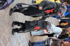 1488386655_k-IMG_6766
