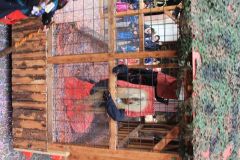 1488386682_k-IMG_6895