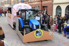 1488386687_k-IMG_6919