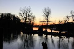 1488386707_k-IMG_7022