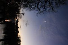 1488386709_k-IMG_7035