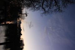 1488386709_k-IMG_7036