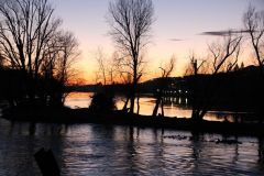 1488386718_k-IMG_7095