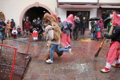 1518635686_k-IMG_9157