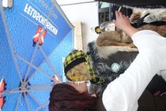 1518878053_k-IMG_4101