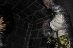 1518878609_k-IMG_4621