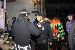 2020-02-20-Rheinfelder Fasnacht (Fotos Alois)