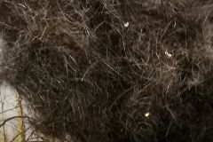 1582833801_k-IMG_20200221_173337
